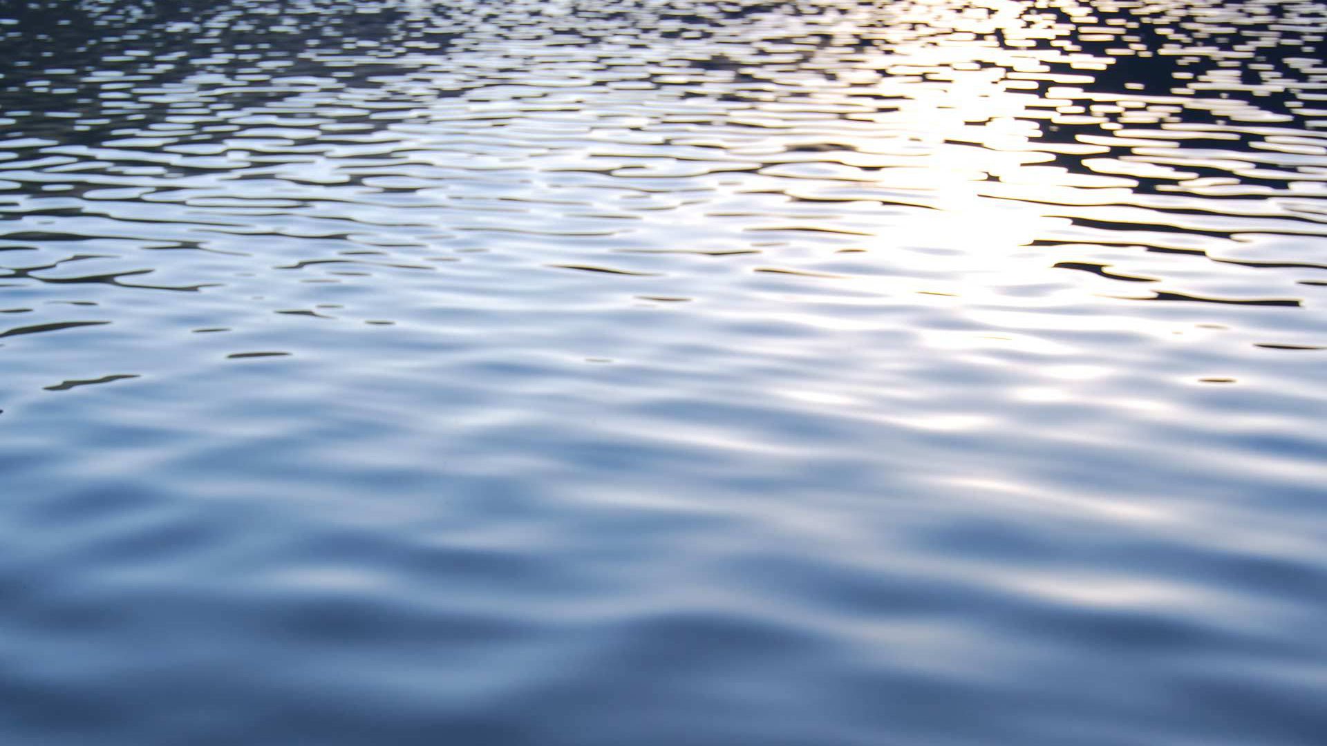 twf-water-background