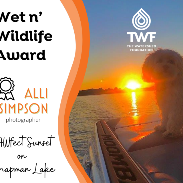photo-contest-winner-2020-wet-wildlife