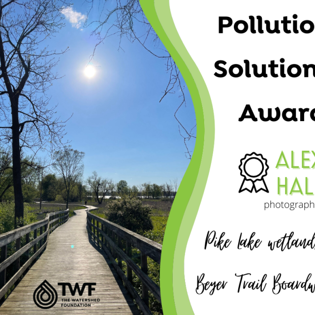photo-contest-winner-2021-pollution-solutions