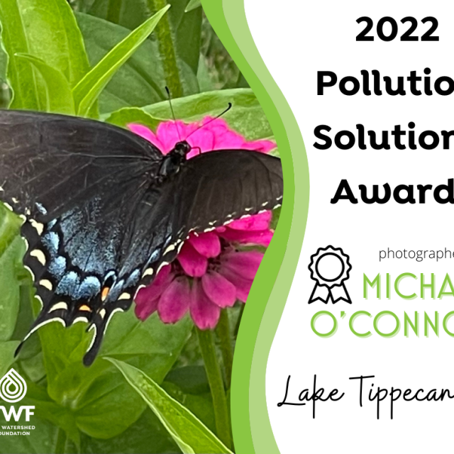 photo-contest-winner-2022-pollution-solutions